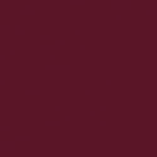 Sally Hansen Miracle Gel Salon Quality Nail Polish | Gel-Like Formula, Two-Step System, No UV Light Needed, Long Lasting | Opaque, Glossy | 489