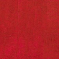 NICKA K LIPSTICK WITH VITAMIN E RUBY RED #100