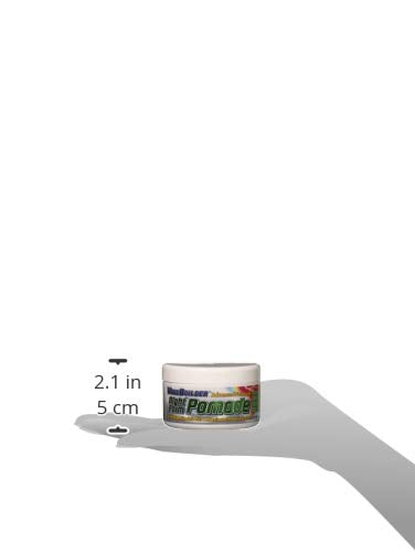 Wavebuilder Night Form Advanced Formula Pomade, 3.5 Ounce (61103)