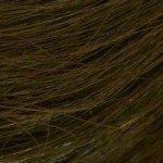 My Secret Hair Enhancer Dark Brown 5 oz. (2 Pack)