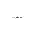 LSH FACEPLATE POLISH CHROME Beauty & Personal Care Mr. Steam