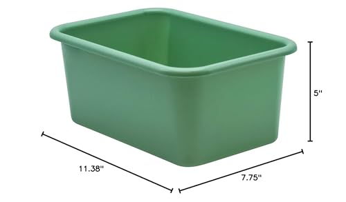 Teacher Created Resources® Eucalyptus Green Small Plastic Storage Bin