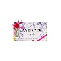 Alchimia Ladybug Lavanda (Lavender) Vegetable Soap Handmade In Italy - 10.5 oz Soap Bar