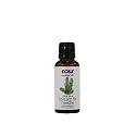Now Foods Balsam Fir Needle Oil - 1 oz.