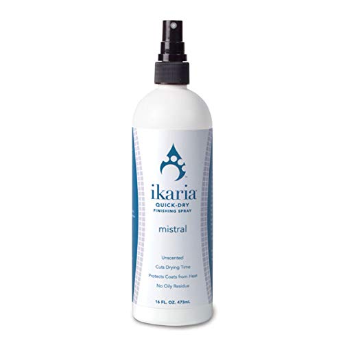 Ikaria Quick Dry Finishing Spray 16 oz