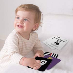beiens High Contrast Baby Flashcards – 80 Double-Sided Visual Stimulation Cards for Newborns & Infants 0–36 Months, 5.5"x5.5", Learning Toy Gift