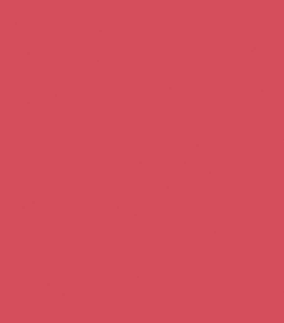 COLOR STATEMENT LP TENDER