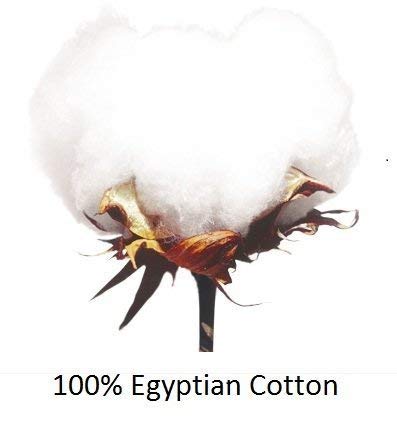 Heavy Quality Hotel Collection Egyptian Cotton Sheets- Super Soft 700 Thread Count 4-PCs Sheet Set Fits 7-9" Inch Deep Pocket, Solid Pattern (Queen