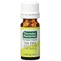 Thursday Plantation Tea Tree Antifungal Solution for Nails,10 ml Beauty & Personal Care Thursday Plantation