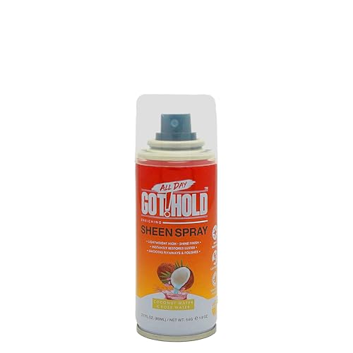 ALL DAY GOT HOLD Hair Styling Sheen Spray 2.7 fl.oz/80ml