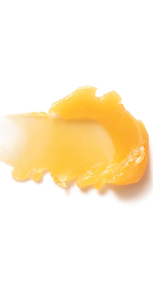 Dr. Hauschka Lip Care Stick, 0.17 Oz