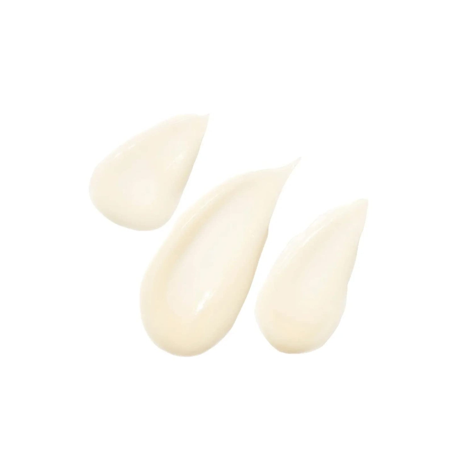 Agent Nateur - holi (water) crème Natural Filter Face Creme | Hydrate, Plump, Refine, Soften | Luxury, Non-Toxic Clean Skincare (1.9 fl oz | 56 ml)