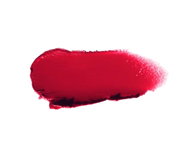Luxurious Lipstick in Deep Copper Brown by Victoria Beckham Beauty