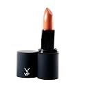 VIP Cosmetics Sexy Natural Earth Soft Silky Bronze Touch Lip Gloss Lipstick 323 Make Up