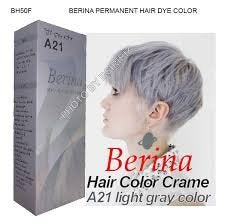 Berina Permanent Hair Dye Color Cream #A21 Light Grey Cool Hot Crezy Fashions