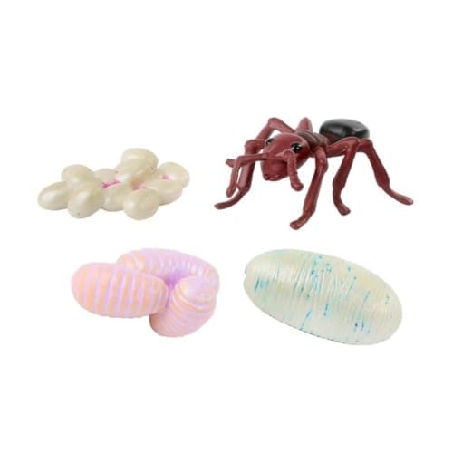 Insect Lore Bug Camp Bundle – Live Butterfly, Ladybug & Ant Kits with Caterpillars, Larvae, Ants & Bonus Life Cycle Figurines