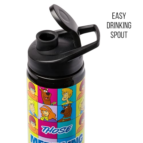 Silver Buffalo Scooby-Doo “Those Meddling Kids!” Stainless Steel Water Bottle Featuring Scooby-Doo, Fred, Velma, Shaggy, and Daphne, 25 Ounces