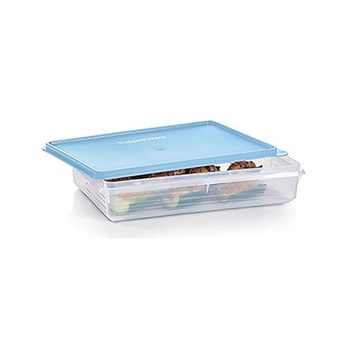 Tupperware Snack-Stor Large Container