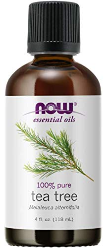 Now Foods Tea Tree Oil, 4 Ounces, Pack of 3
