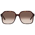 Ferragamo Women's Sf1069s 56Mm Sunglasses, Brown