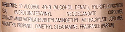 Nexxus Maxximum Finishing Mist for Control 10 oz