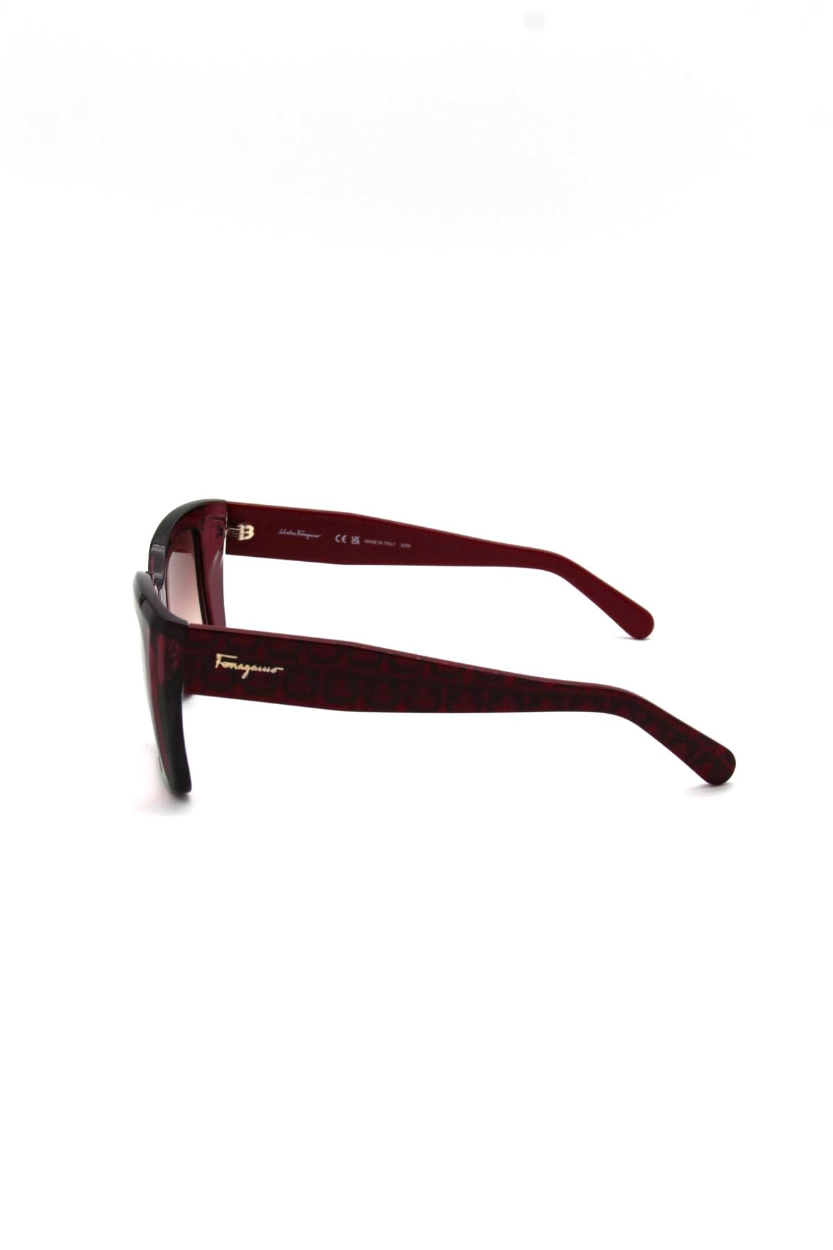 Salvatore Ferragamo Brown Acetate Women's Sunglasses