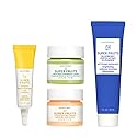 Earth To Skin Super Fruits Starter Set: Blueberry Exfoliating Cleanser (1.0 Fl Oz), Citrus Day Gel Cream (0.5 Fl Oz), Avocado Overnight Mask (0.5 Fl