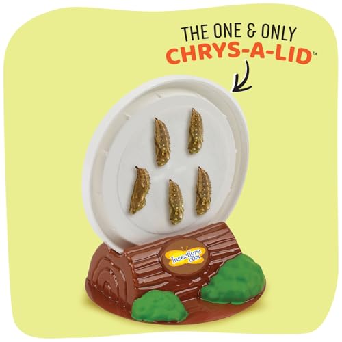 Insect Lore Cup of Caterpillars – 5 Live Painted Lady Caterpillars with Food, Figurines & Refill Kit for Butterfly Garden, Fun STEM Activity for Kids