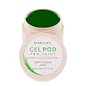 KIARA SKY Professional Nails Gel Art Pod - Ultra Pigmented Gel Art Paints (Leaf It Alone) Vibrant Green Beauty & Personal Care KIARA SKY