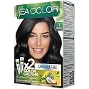 Natural Effect Hair Dye Kit - Permanent Color & Ammonia Free - Black (1 Kit)