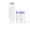 Lendan Anti-Yellow Kit with Violet Pigments, Violet Charge Shampoo 300ml + Re-Charge Mask 500ml