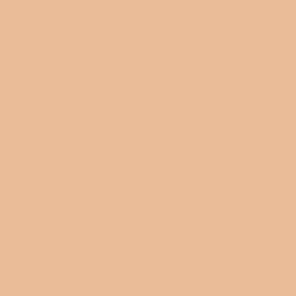 KODE Mens Concealer (Lightest) - Dark Circle Under Eye Cream Corrector, Multi-Use, Pimples, Scars, Rashes