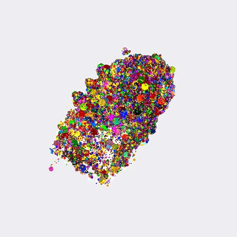 Neva Nude Face and Body Glitter Keychain - Chunky Loose Glitter for Festivals, Raves, and More | Cosmetic Grade | Super Sparkly (Rainbow Brite