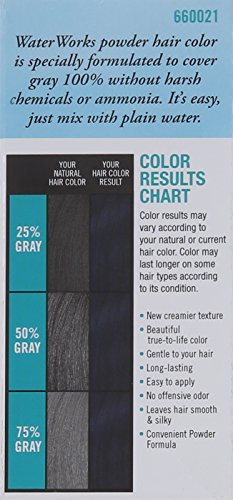 Water Works Water Activated Permanent Powder Hair Color for Men and Women, #21 Blue Black