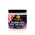 Curls Dynasty Pumpkin Mint Deep Treatment Masque Moisturizing Deep Conditioning Hair Mask For Curly Hair For Stronger Healthier Nourished Hair