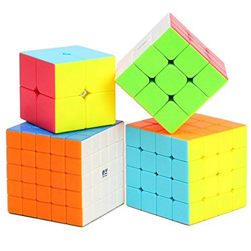 BestCube 2x2 Cube Qidi 2x2x2 Speed Cube Stickerless Puzzle Cube (Qidi Version)