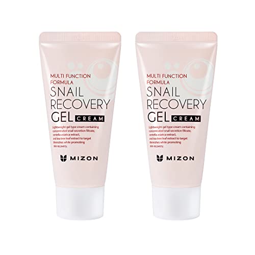 MIZON Set of Two Snail Recovery Gel Cream Snail Mucin for Fine Lines Skin Elasticity Moisture Fragrance-Free Korean Skincare(45ml 1.52 fl.oz -Pack