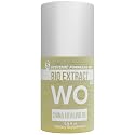 Systemic Formulas WO - China Healing Oil - Supports circulation and active epidermal processes, 0.5 FL OZ, Bio Extract #260. Body's repair process.