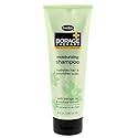 Shikai Borage Therapy Moisturizing Shampoo, 8 Oz