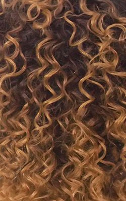 X-pression Braid Outre Crochet Braids X-Pression Twisted Up 3X Springy Afro Twist 24inch (1-pack, 2T1B/27)
