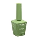Chaun Legend UV LED Gel Nail Polish 0.5 Ounce Long Lasting, Bubble Free, Quick Dry High Shine, Sage My Name LG5085 (soft sage green) Beauty & Personal Care Chaun Legend Professional Nails
