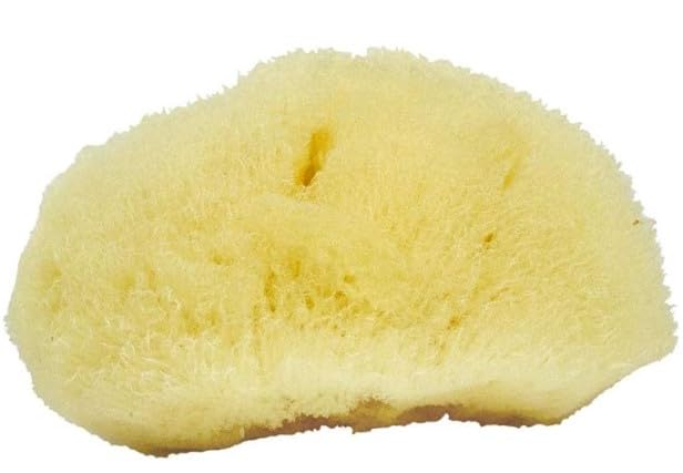 Sea Soft Silk Sponge - for Cosmetic Use, Facial Cleansing, 3-4 inches
