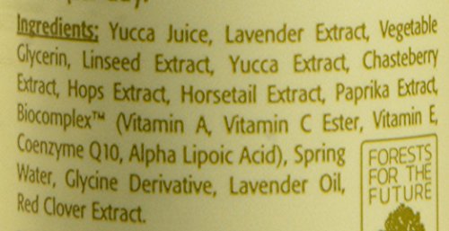 Eminence Eight Greens Youth Serum, 1 Ounce