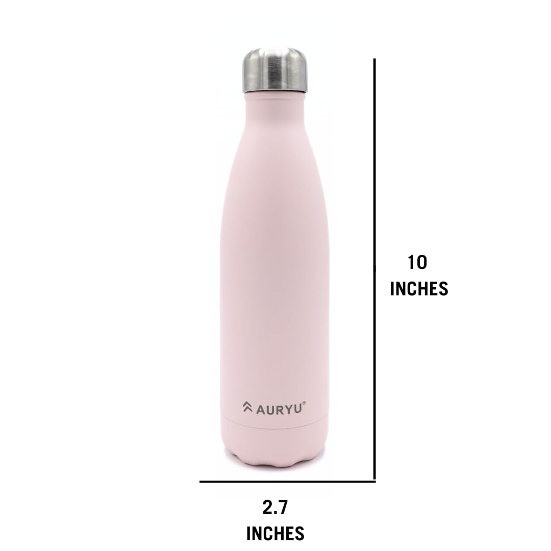 Auryu Best in Class Triple-Walled Insulated Stainless Steel Water Bottle with bonus handle included, Drinks Cold for 24h & Hot for 12h, Leak Proof