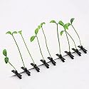 Dreamxue Funny Grass Hair Clips, 4 Pcs Bean Sprout Hairpins, Green Leaf Plant Antenna Hair Pins Hair Accessories for Women Girls Kids