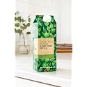 Bath & Body Works Eucalyptus Mint Gentle & Clean Foaming Hand Soap Refill, 32 fl oz / 946 ml, Refreshing Aromatherapy Scent with Essential Oils