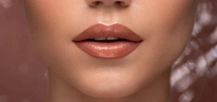 Natasha Denona I Need a Rose Lip Gloss Calla + Bonus Premium Korean BlueBerry Sheet Masque