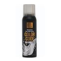 BTL Color Code Temporary Hair Color Spray-On! Vibrant & Easy to Wash | Fast Drying (3oz/80g) (Glitter Silver, 3oz/80g)