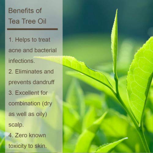 Luseta Tea Tree & Argan Oil Detangling Shampoo & Conditioner Set, 2 x 33.8 Oz