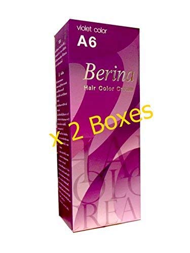 Pack of 2 Sets Berina BERINA PROFESSIONALS Hair Color Cream Permanent Hair Dye Color A6 : Violet 60 G. Super Permanent Fashion Unisex